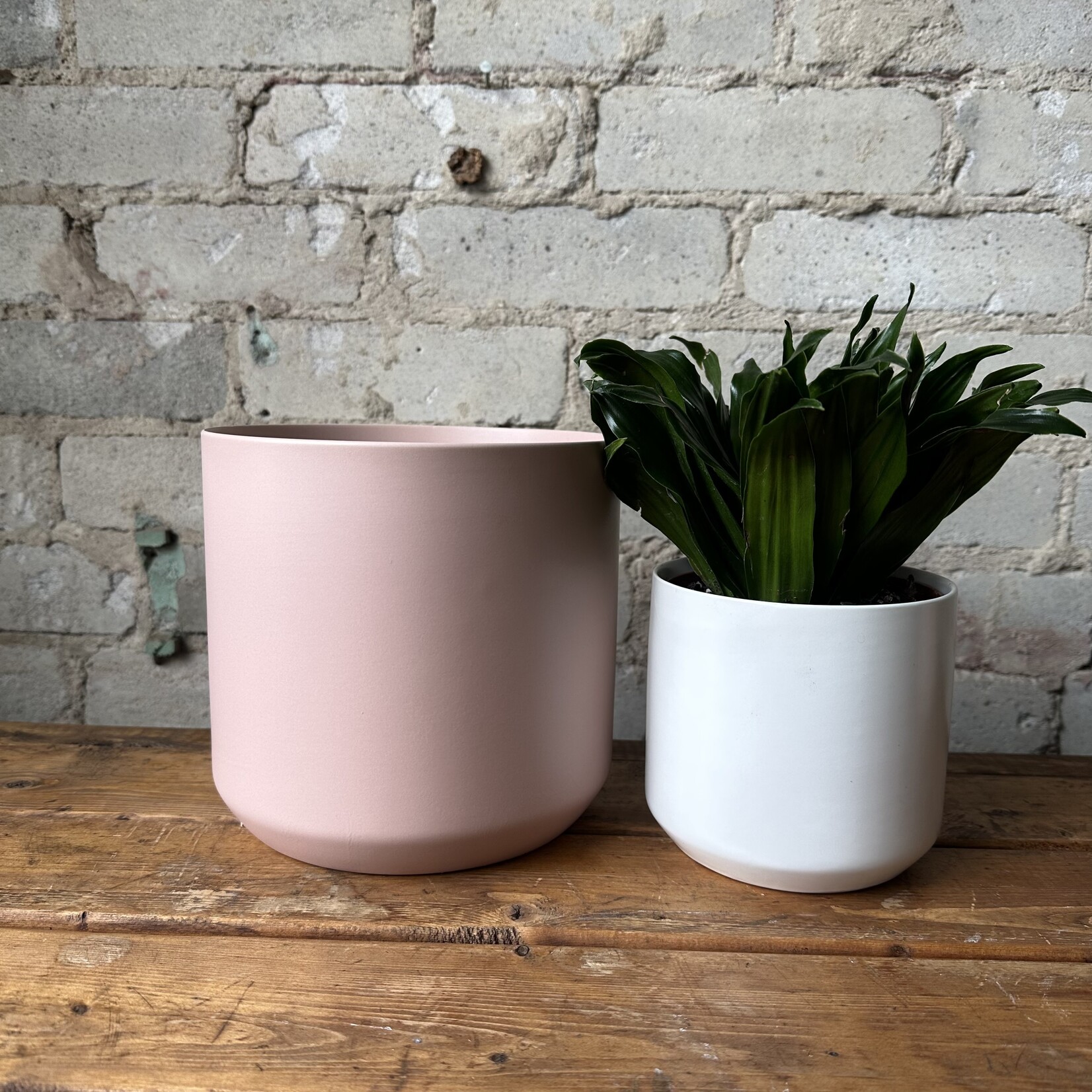 Kendall fits 6" Pink