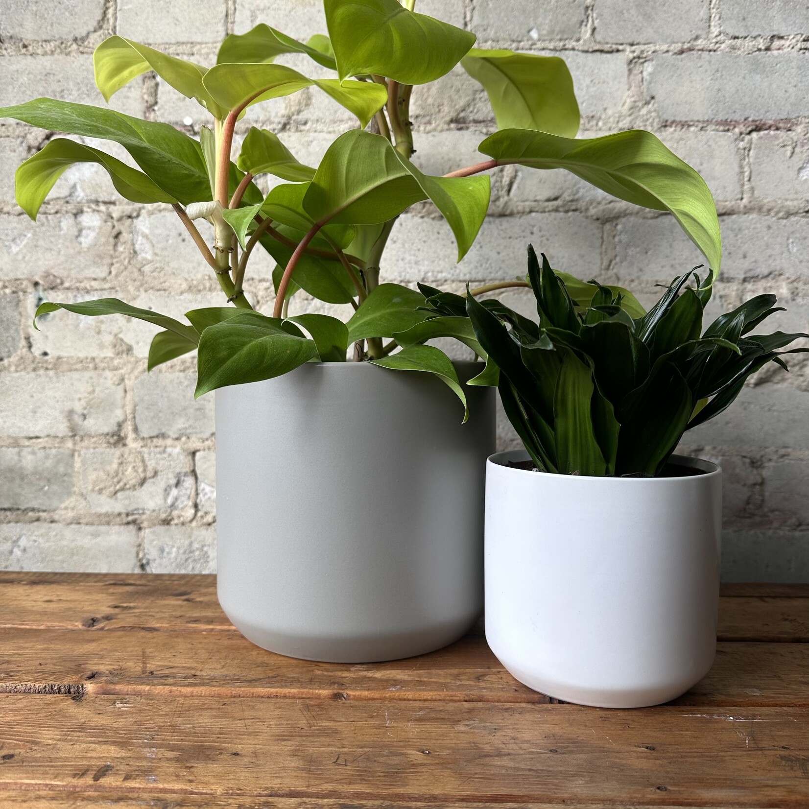 Kendall fits 6" Grey