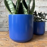 Kendall fits 6" Blue