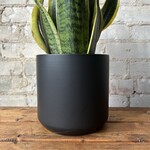 Kendall fits 6" Black