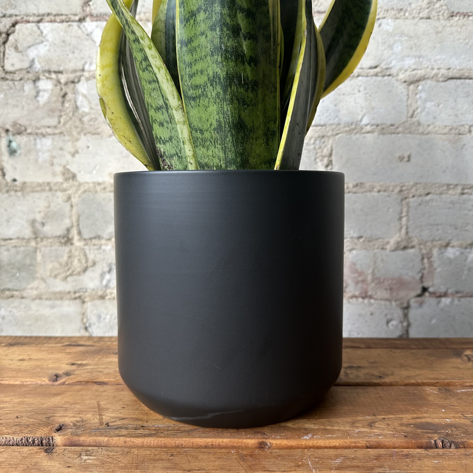 Kendall fits 6" Black