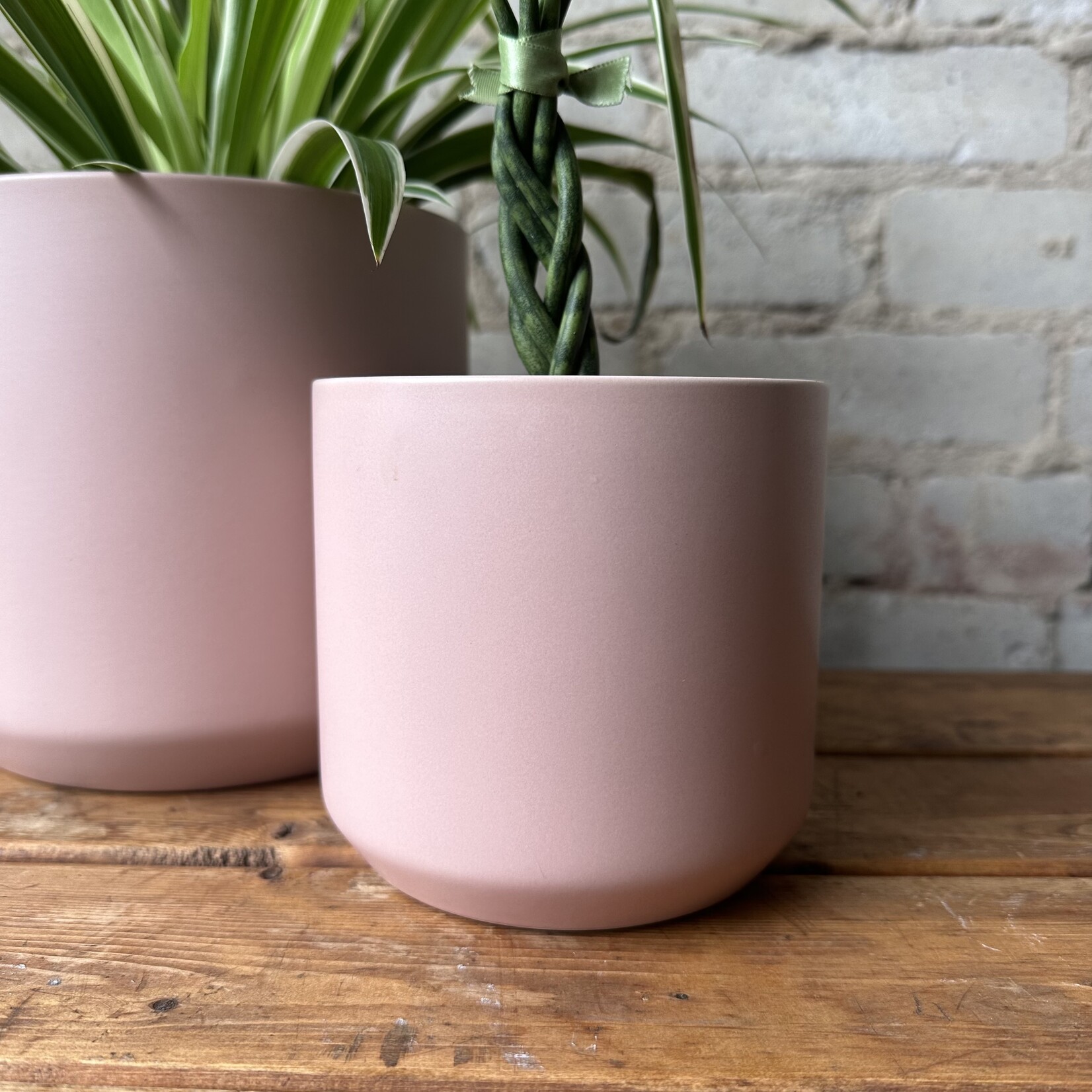 Assorted Pots Kendall fits 4" Pink