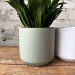 Kendall fits 4" Green