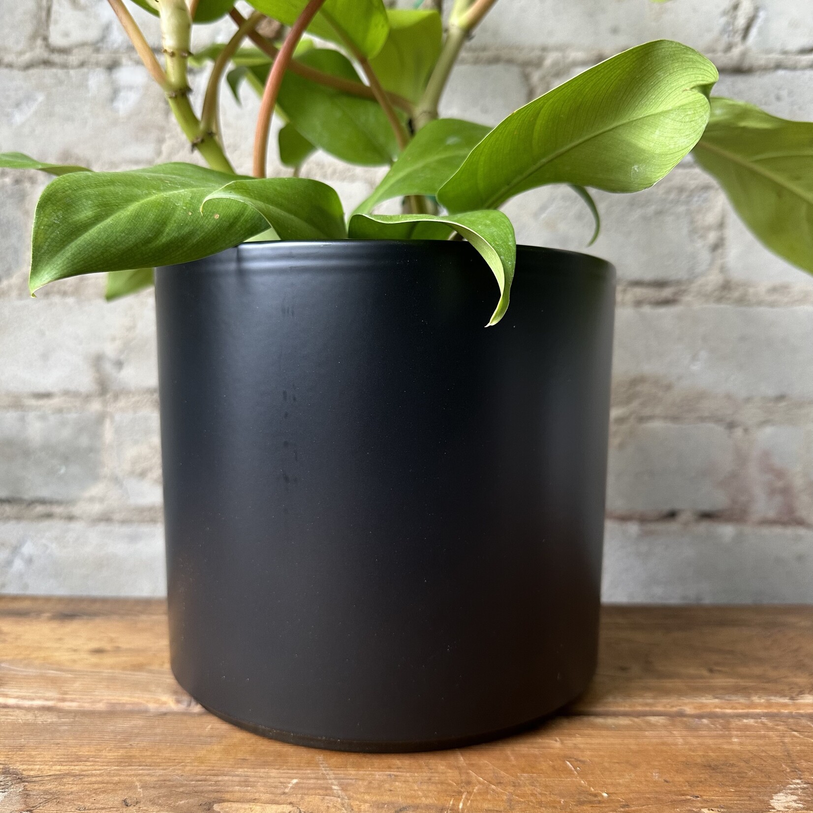 Assorted Pots Pillar pot (fit 6") Black