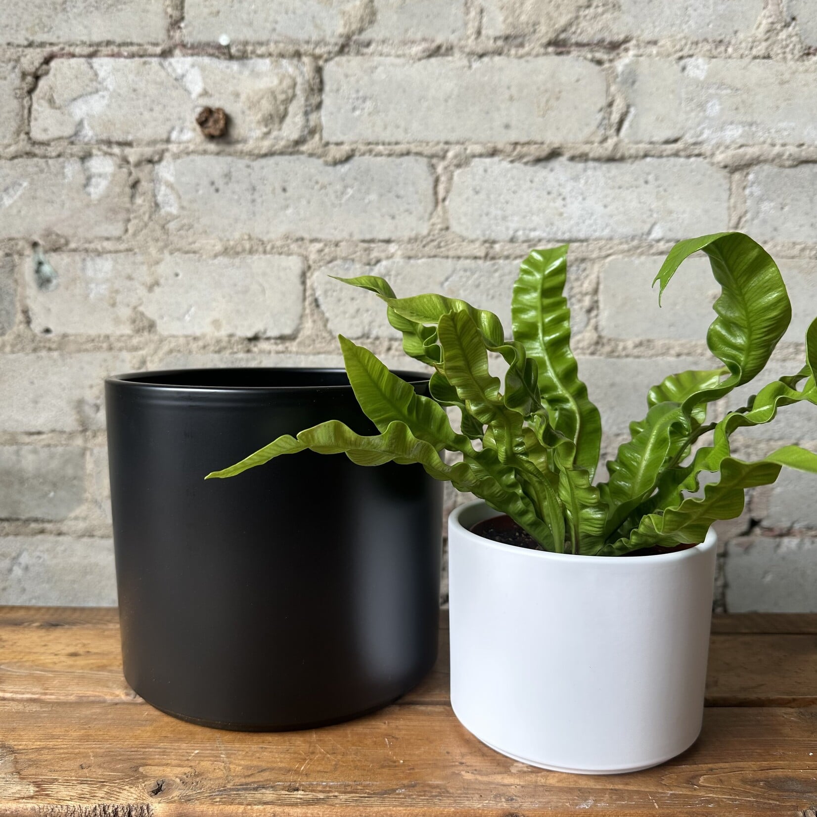 Pillar pot (fit 6") Black