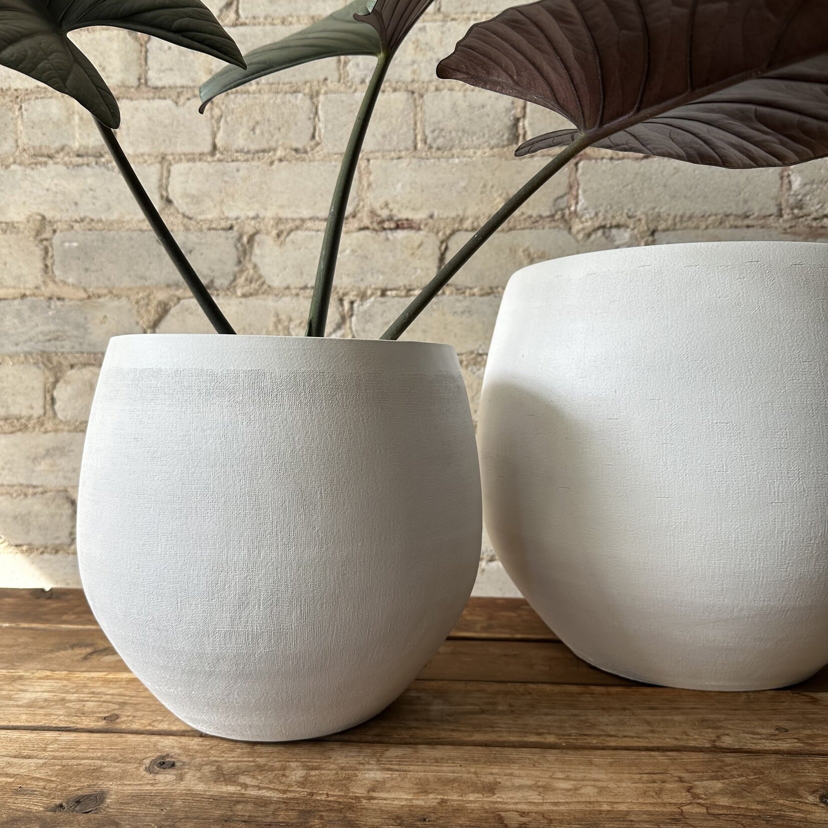 Duoro Pot (fits 7”)