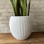 Assorted Pots London Pot (fits 9" 10")