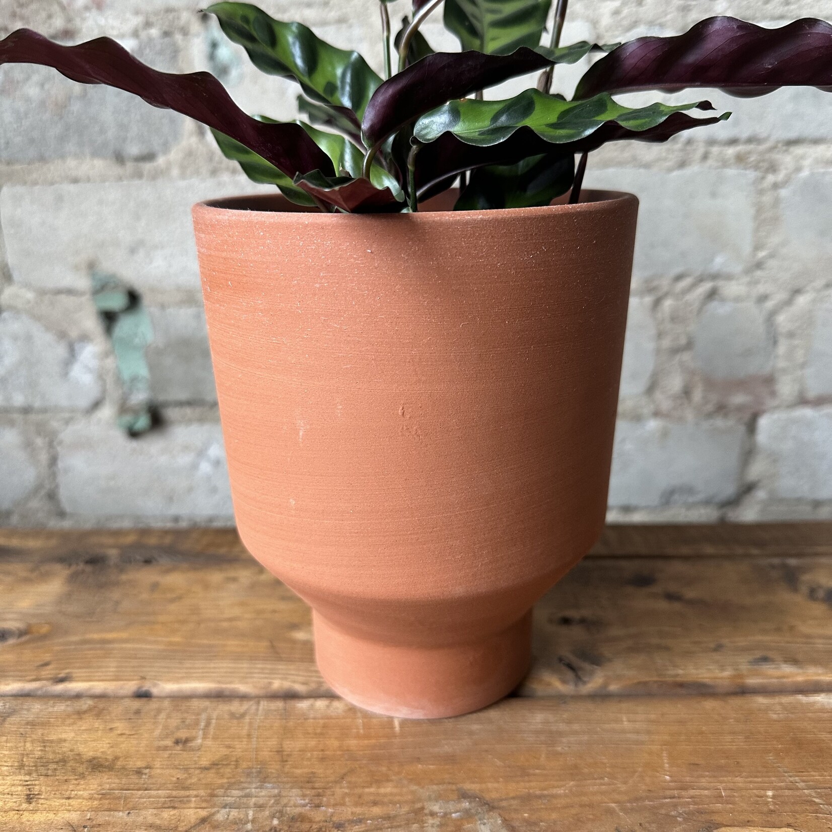 Crescendo Pot (fits 4.5")