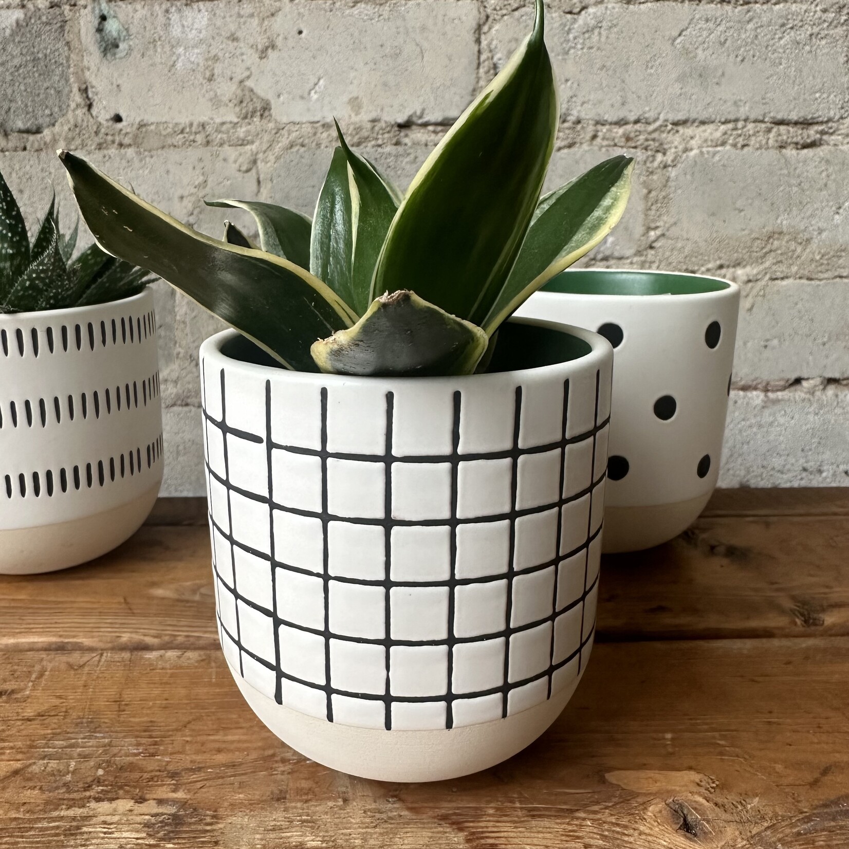 Assorted Pots Merrick Pot Grid (Fits 3")