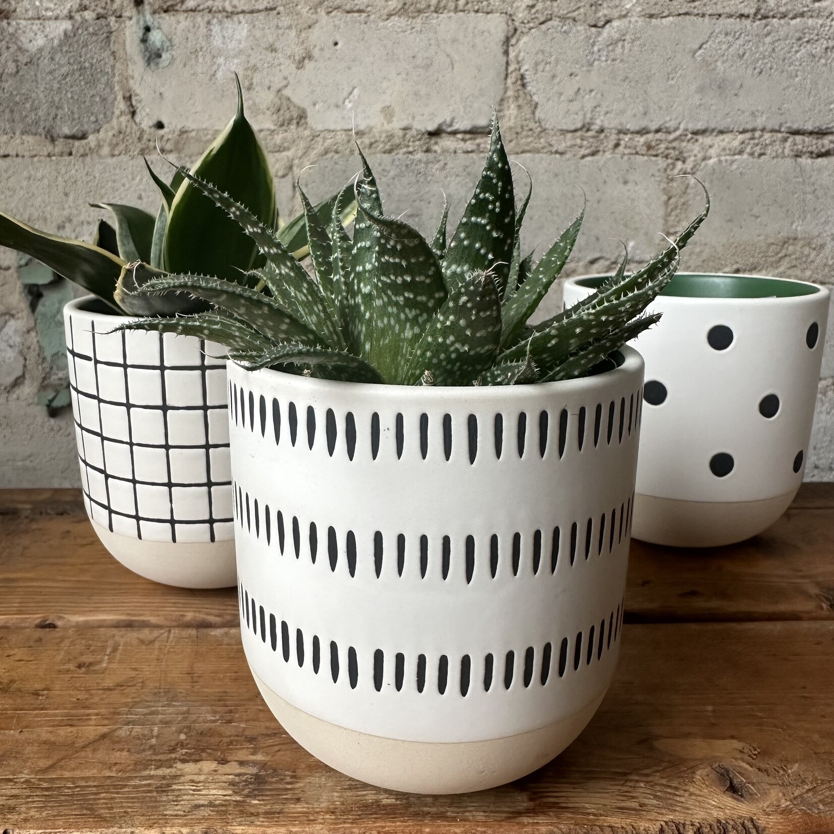 Assorted Pots Merrick Pot Lines (Fits 3")