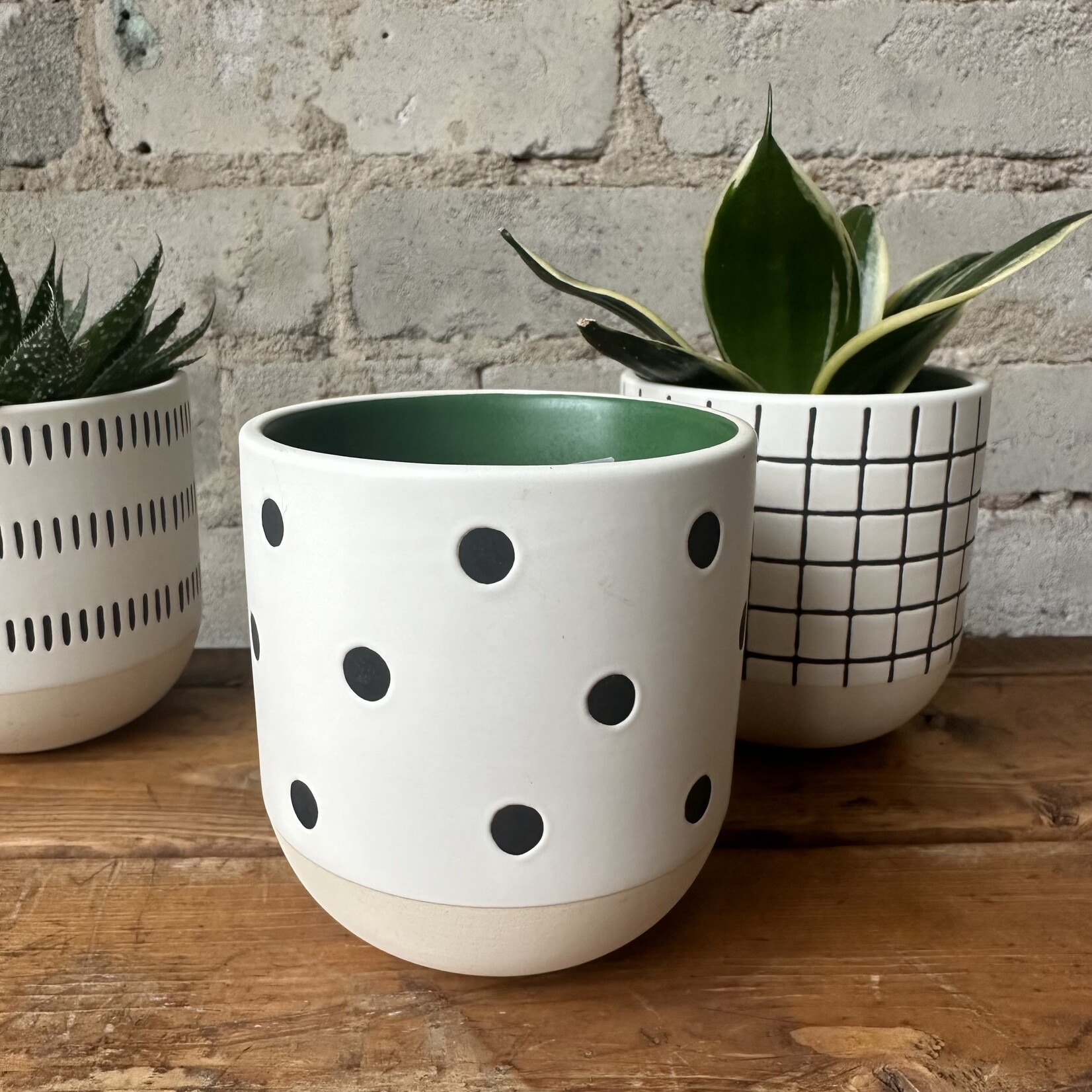 Assorted Pots Merrick Pot Dots (Fits 3")