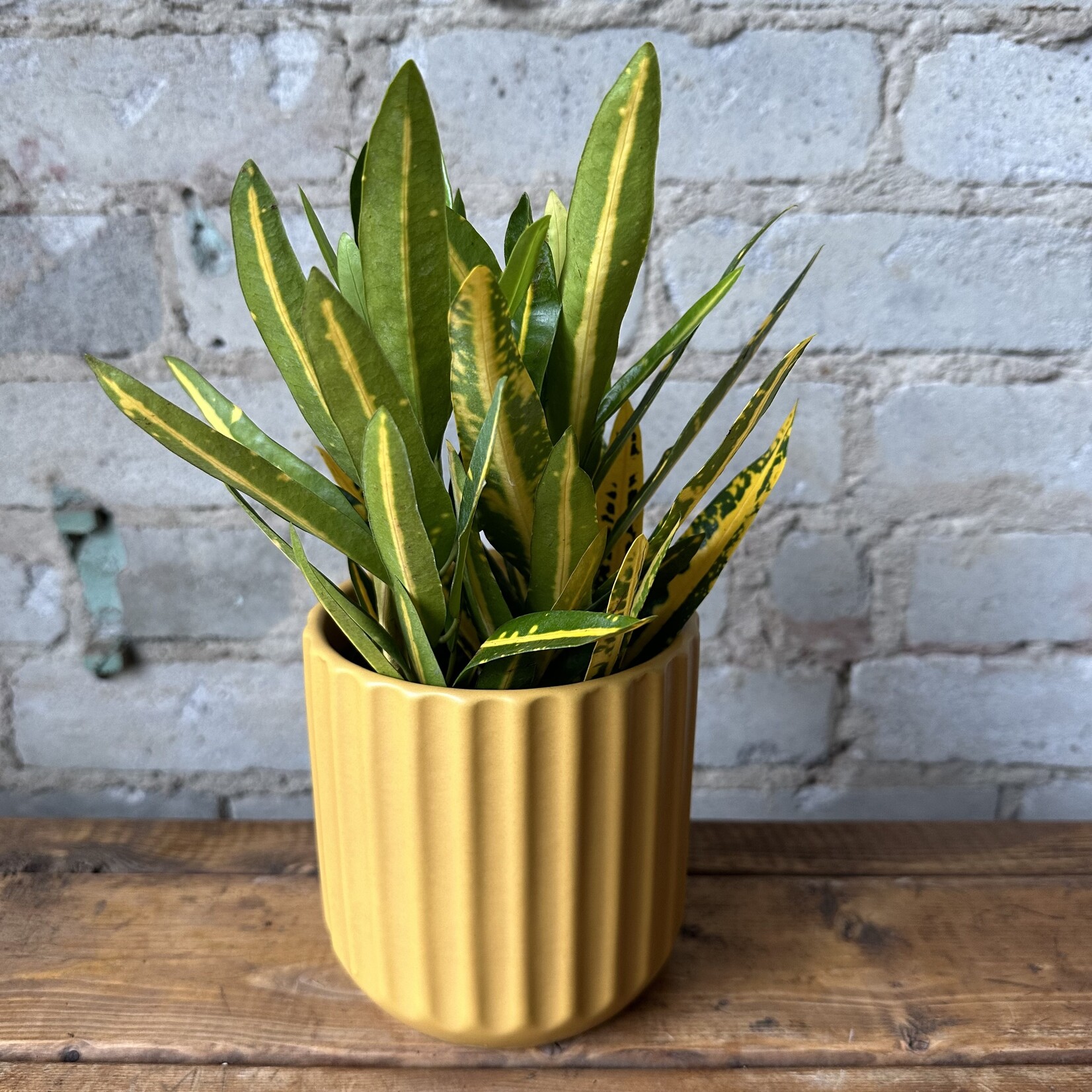 Beam Pot (fits 4") Yellow