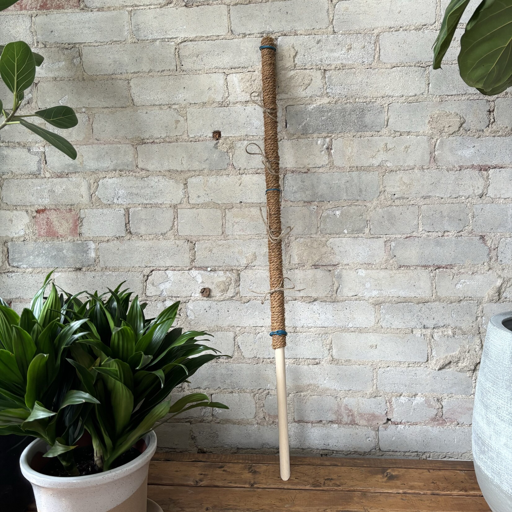 Coir pole (Climb Forest Climb) 36"