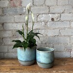 Caribe Pot (fits 5")