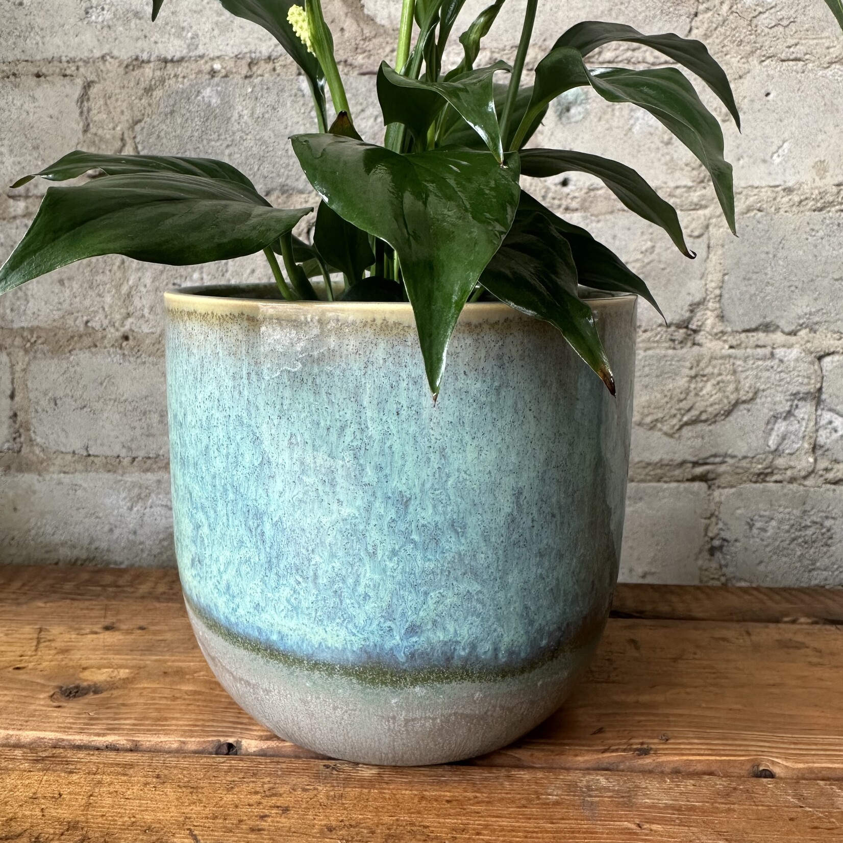 Caribe Pot (fits 5")