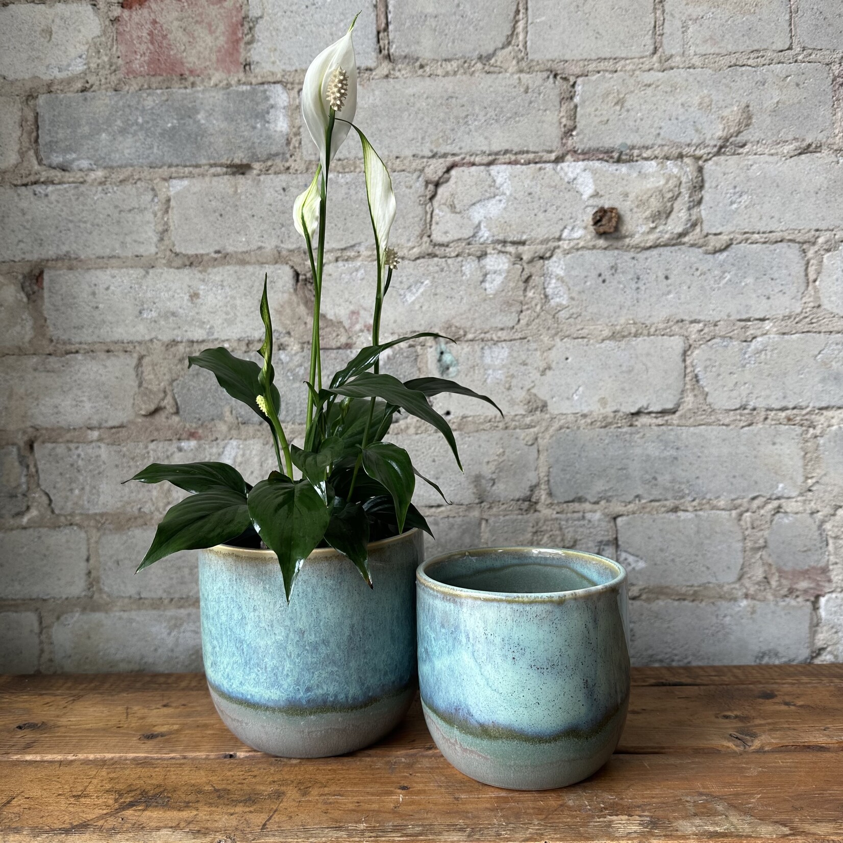 Caribe Pot (fits 4")