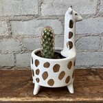 Assorted Pots Giraffe Pot (fits 3")