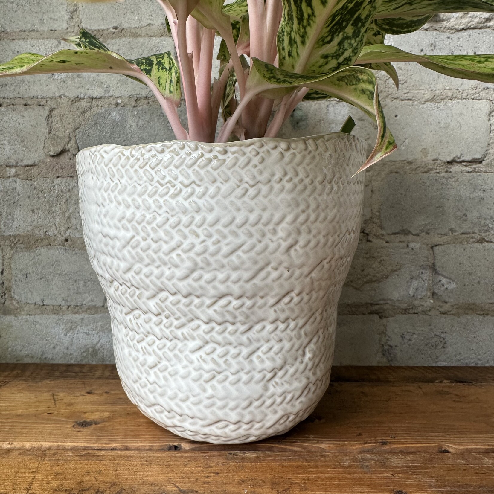 Amstel Pot (fits 6")