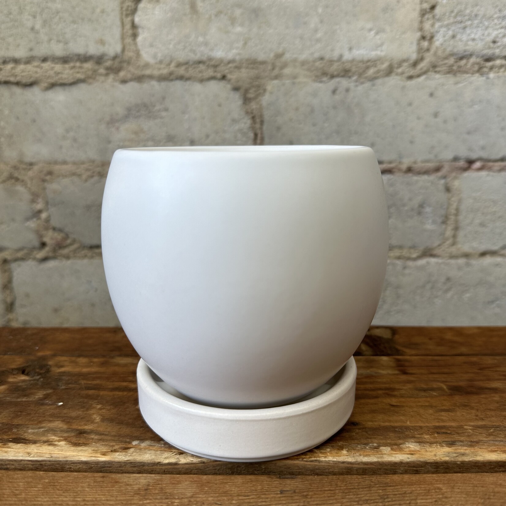 Momma BOLLE 4” - White