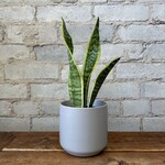 Kendall fits 4" Grey