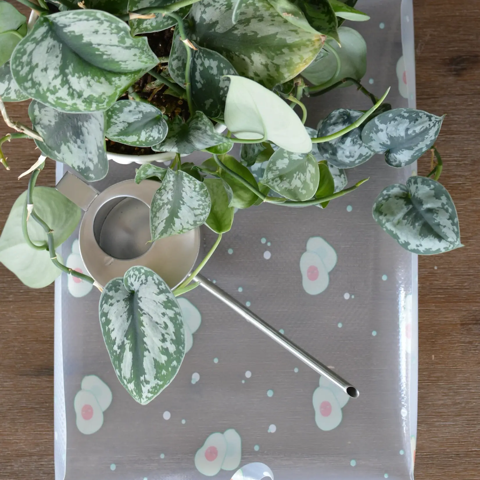 Plant Mat by PLATs