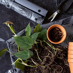 PLATs Plant Mat by PLATs