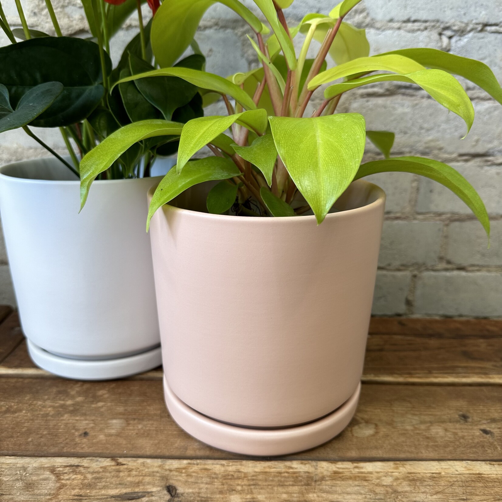 Momma Pots - Blush 6.5"