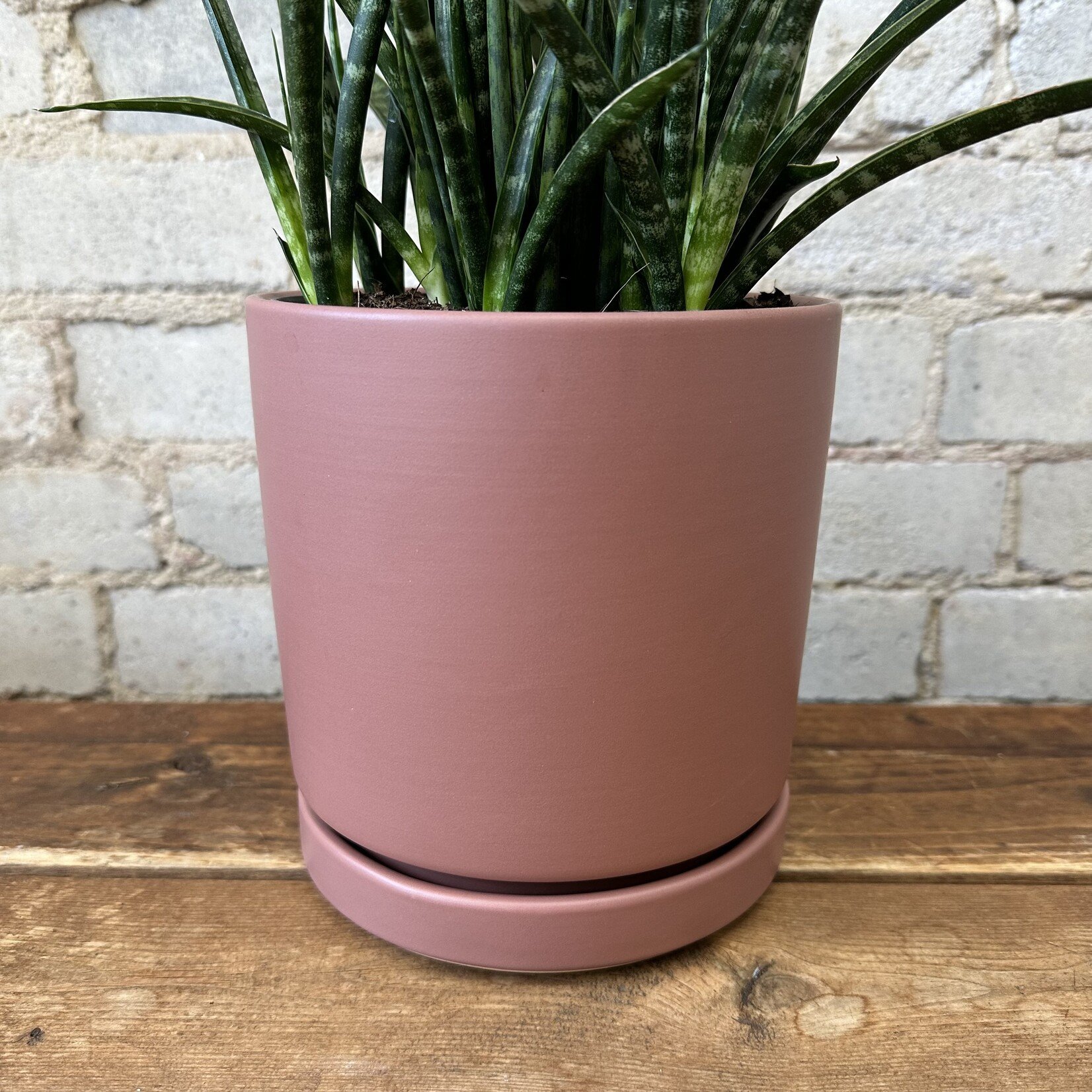 Momma Pots - Dusty Rose 6.25"