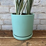 Momma Pots - Sea Glass 6.5"