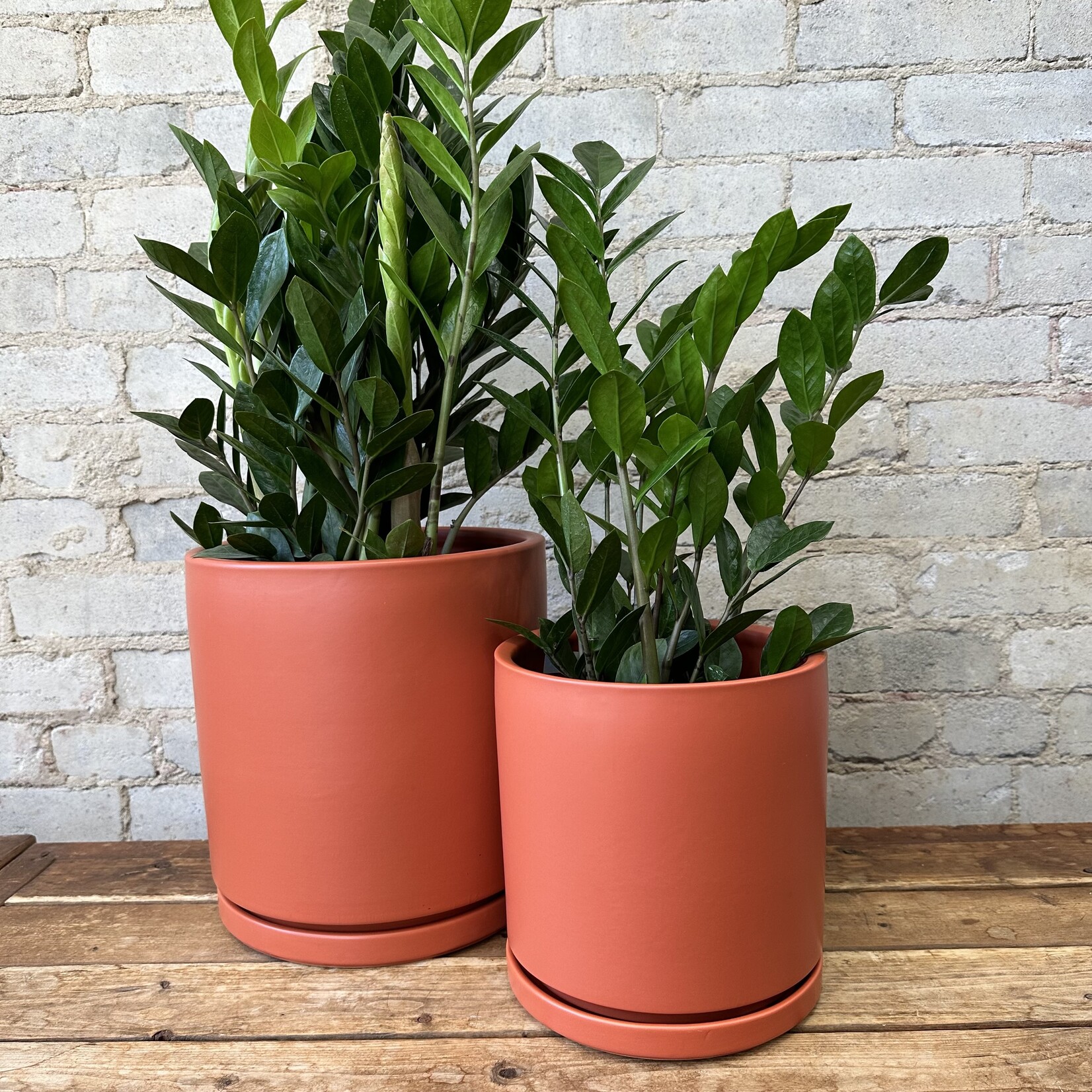 Momma Pots - Rust 8.25"