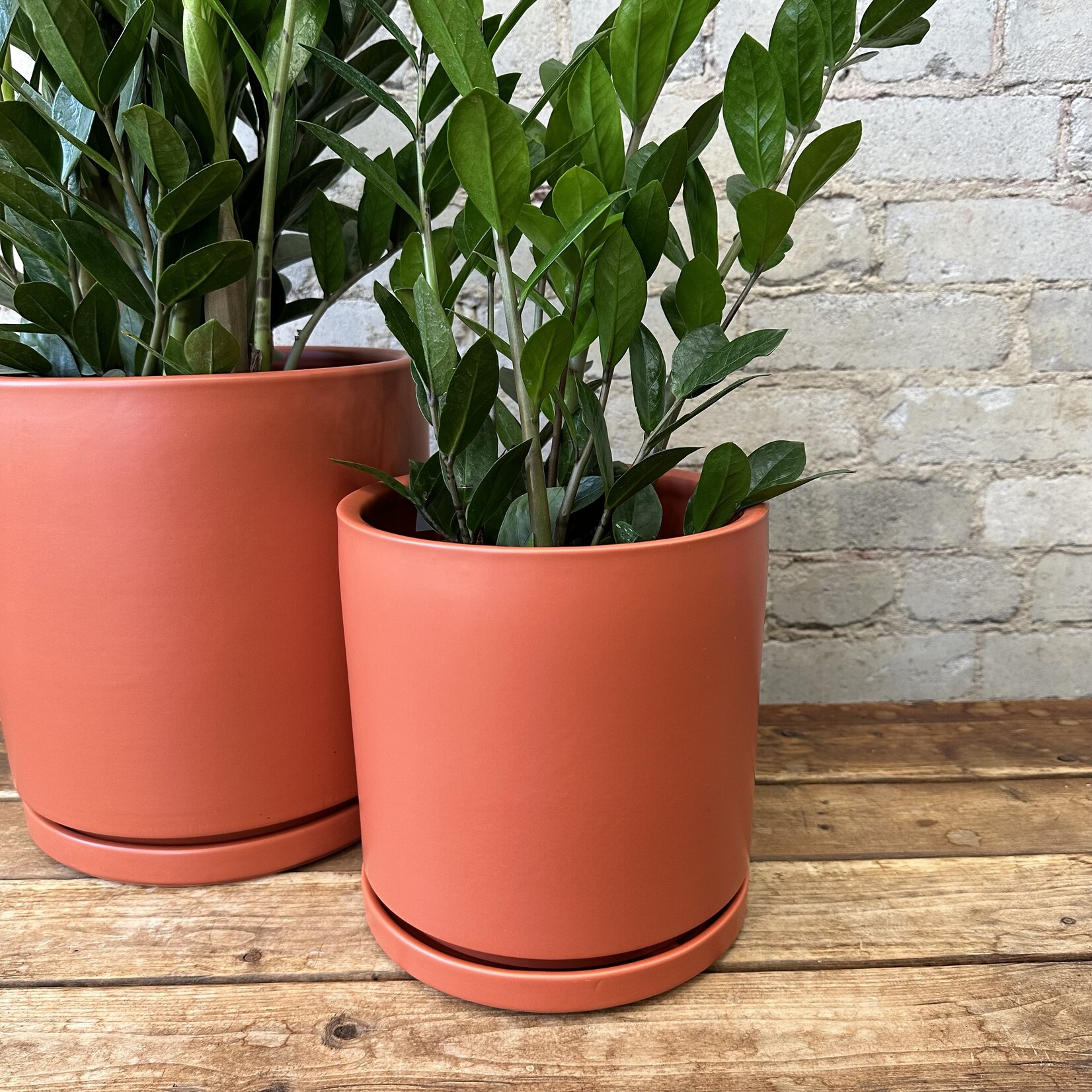 Momma Pots - Rust 8.25"