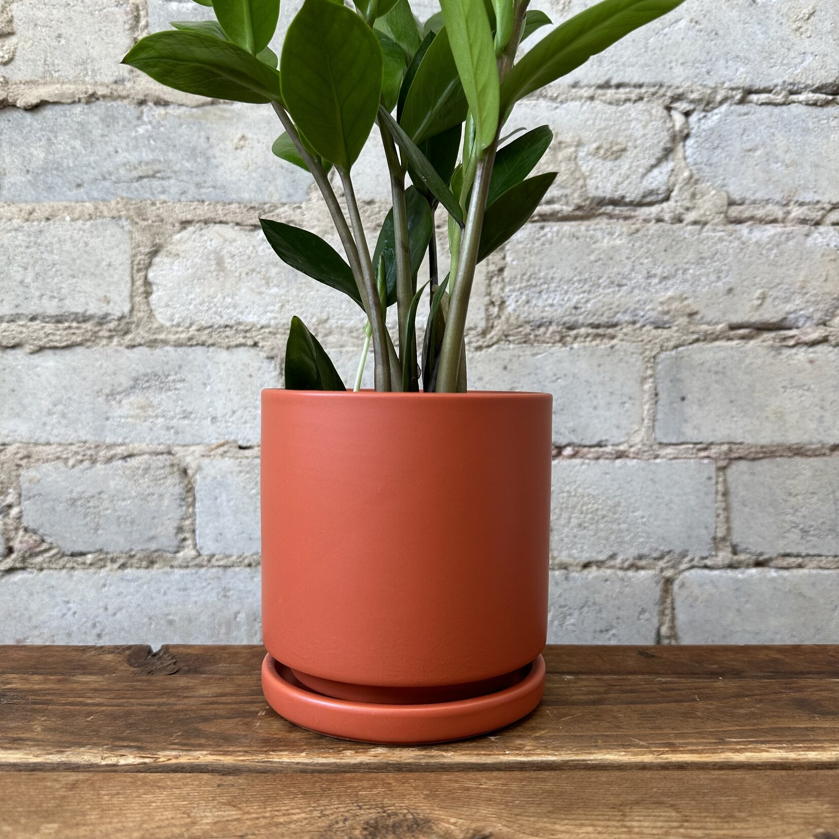 Momma Pots - Rust 4.5"