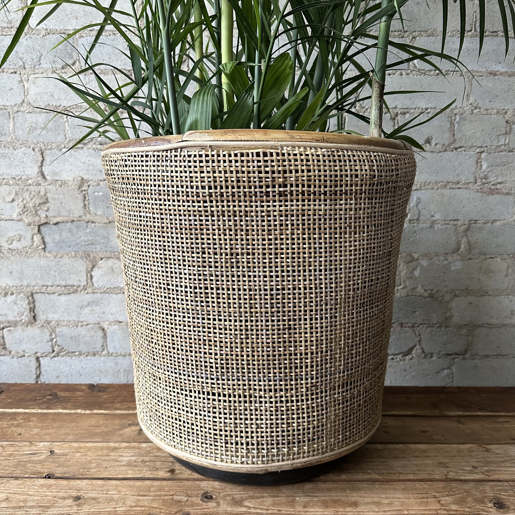 Fett Pot (fits 14")