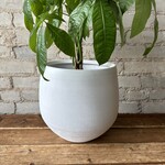 Duoro Pot (fits 7.5 - 8”)