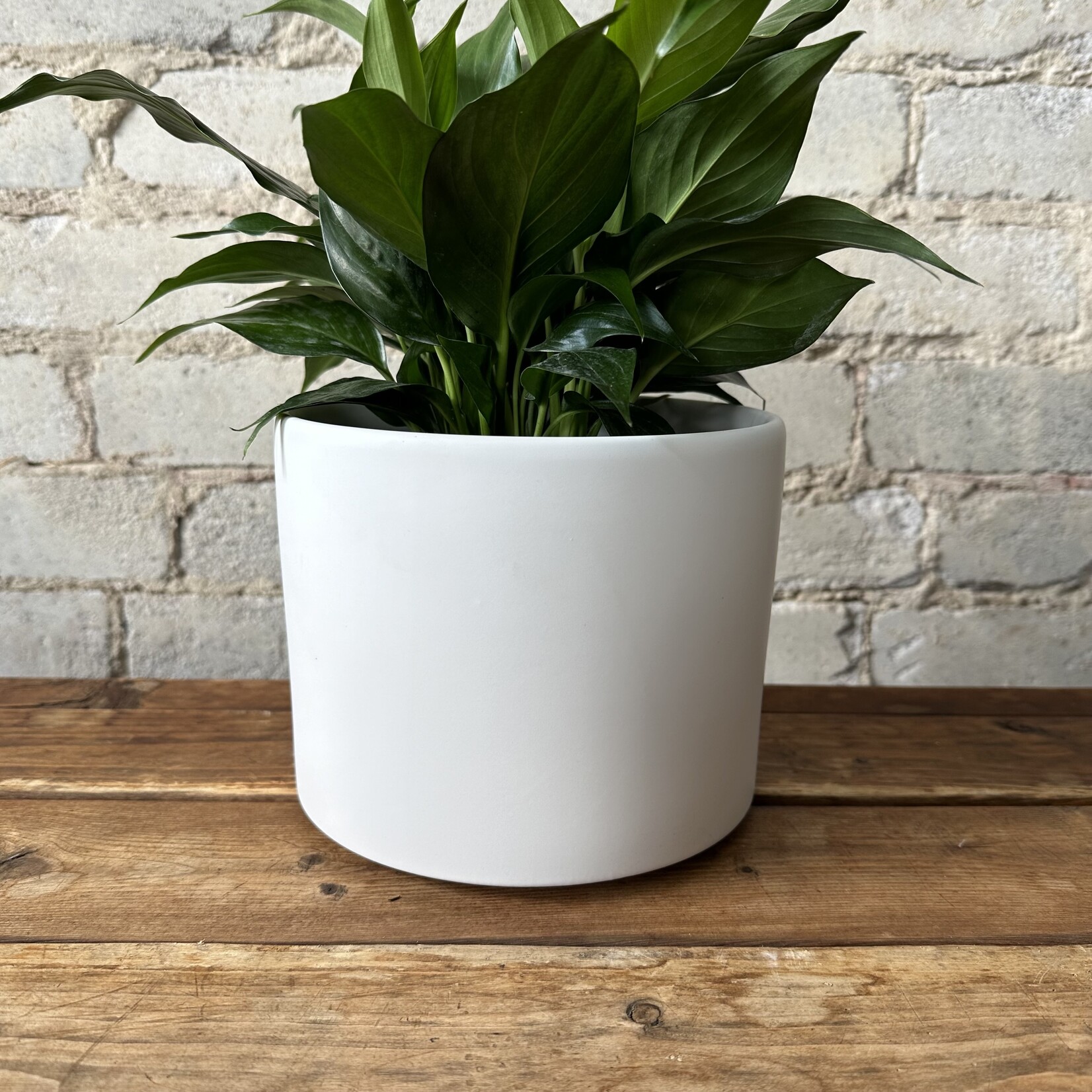 Atlas Pot (Fits 6") White