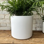 Assorted Pots Atlas Pot (Fits 8") White