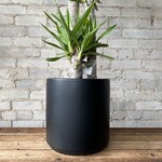 Peach and Pebble - Cylinder Pots Black XL (12")