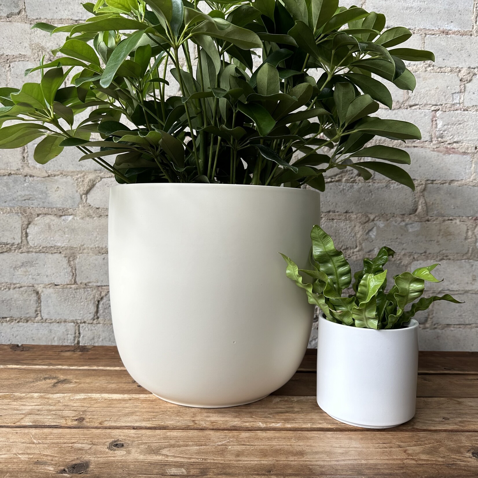 Lana Pot (fits 10") Cream
