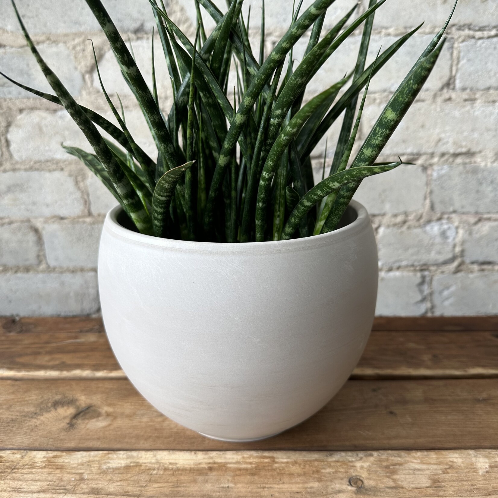 Luna pot (fits 6") Marbled