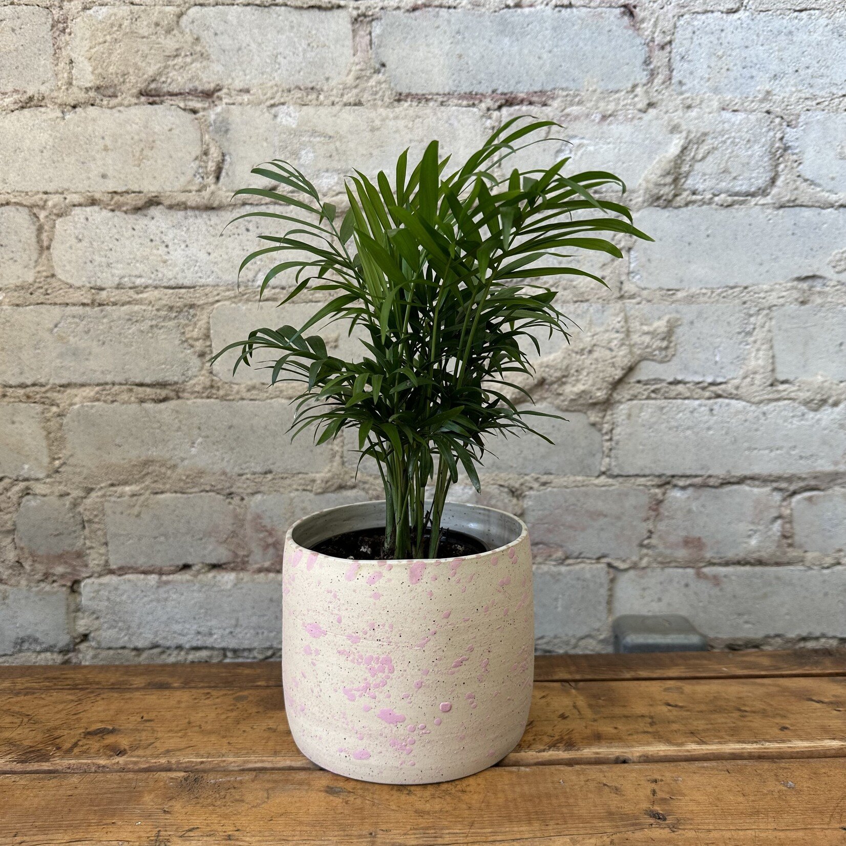 Vicky Makes Things Vicky Makes Ceramics Pink Splash 5"