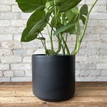 Kendall fits 10" Black