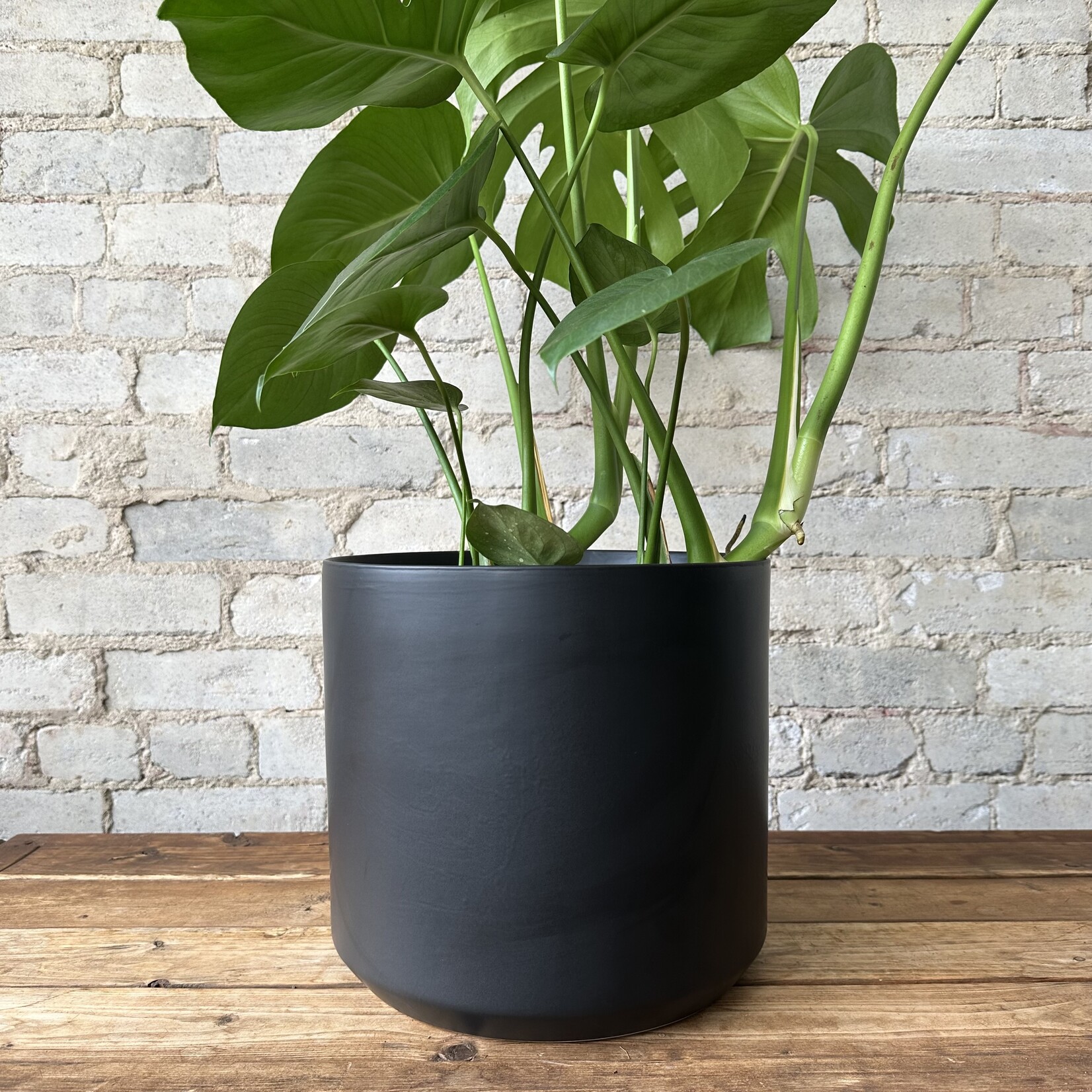 Kendall fits 10" Black