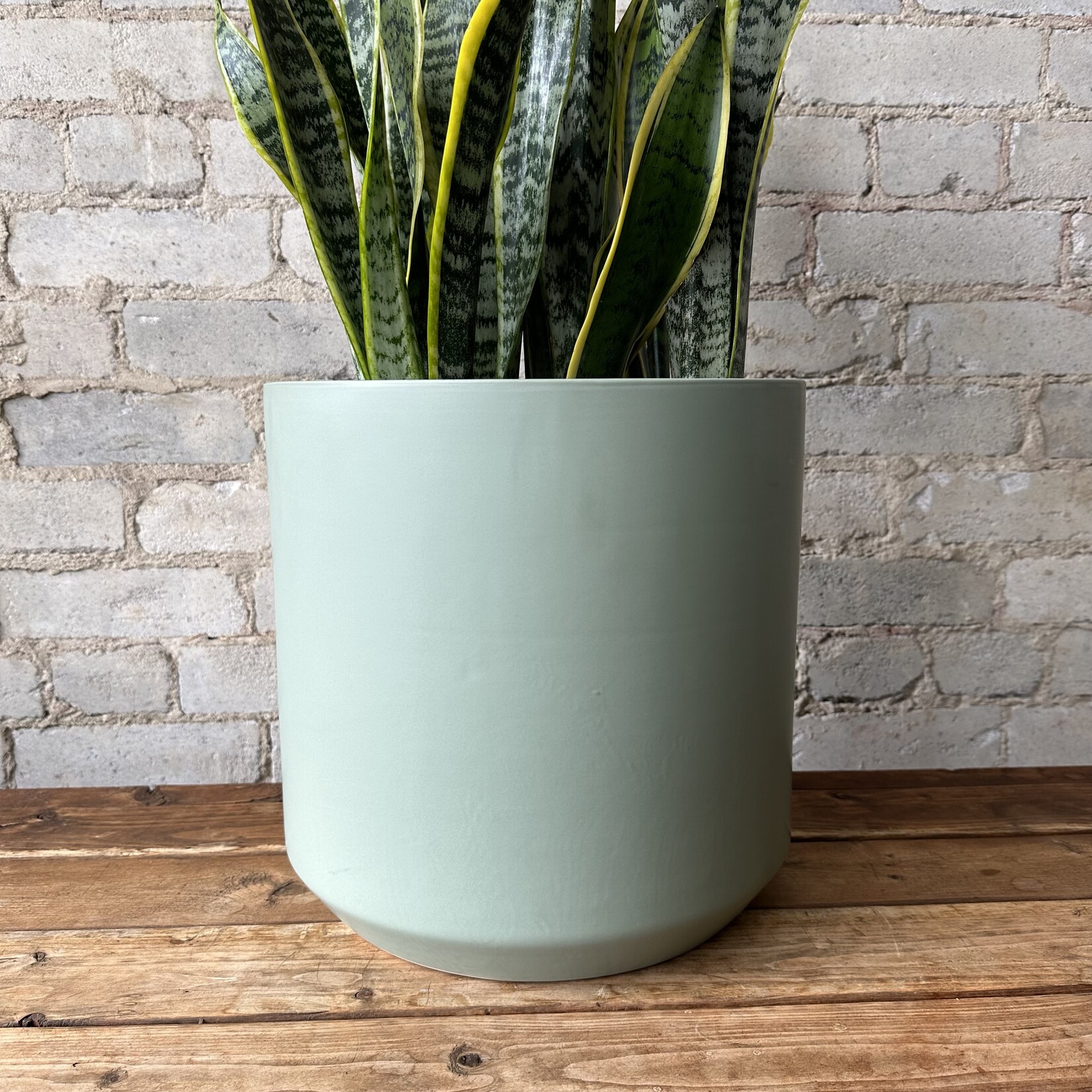 Kendall fits 10" Green