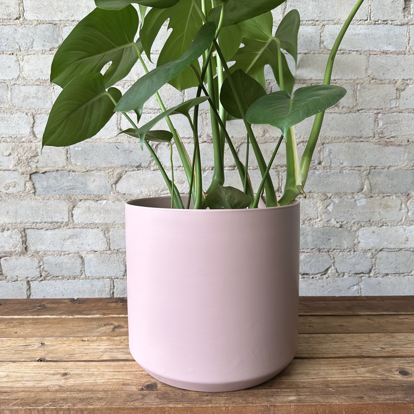 Kendall fits 10" Pink