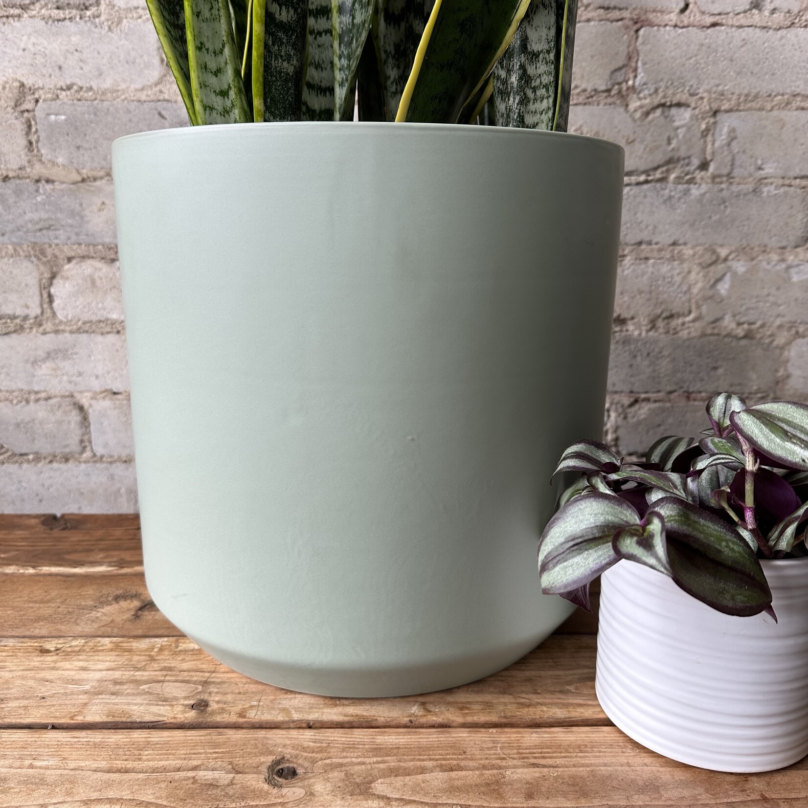 Assorted Pots Kendall fits 11" Green