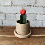 Nightshift Ceramics - Flower Power 3" (with saucer)