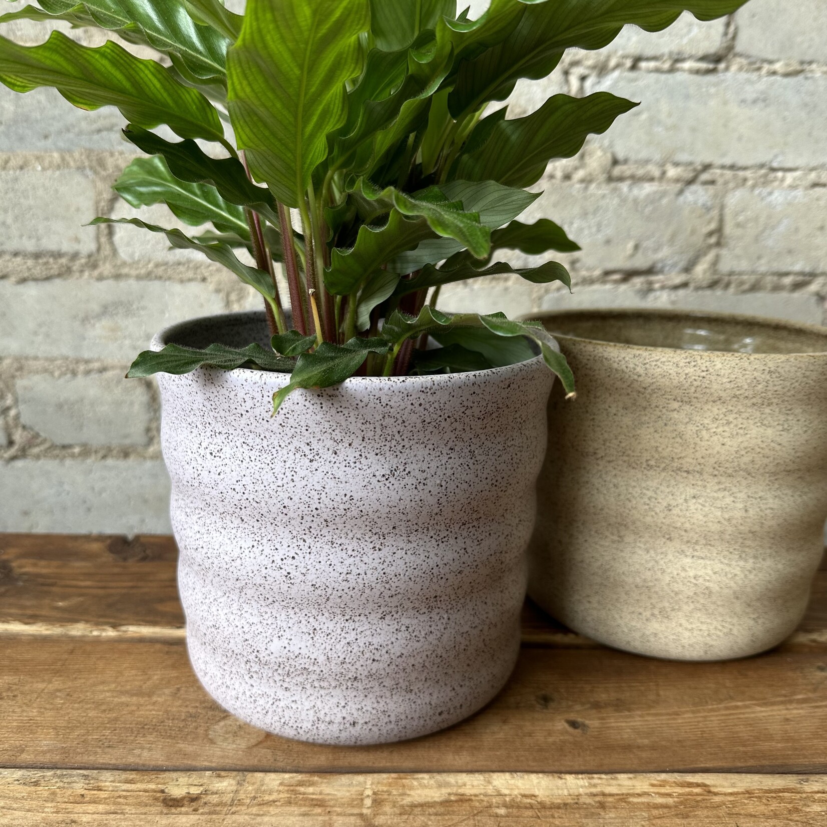 Jae Polgar Ceramics Cloud Neutral 6.25"