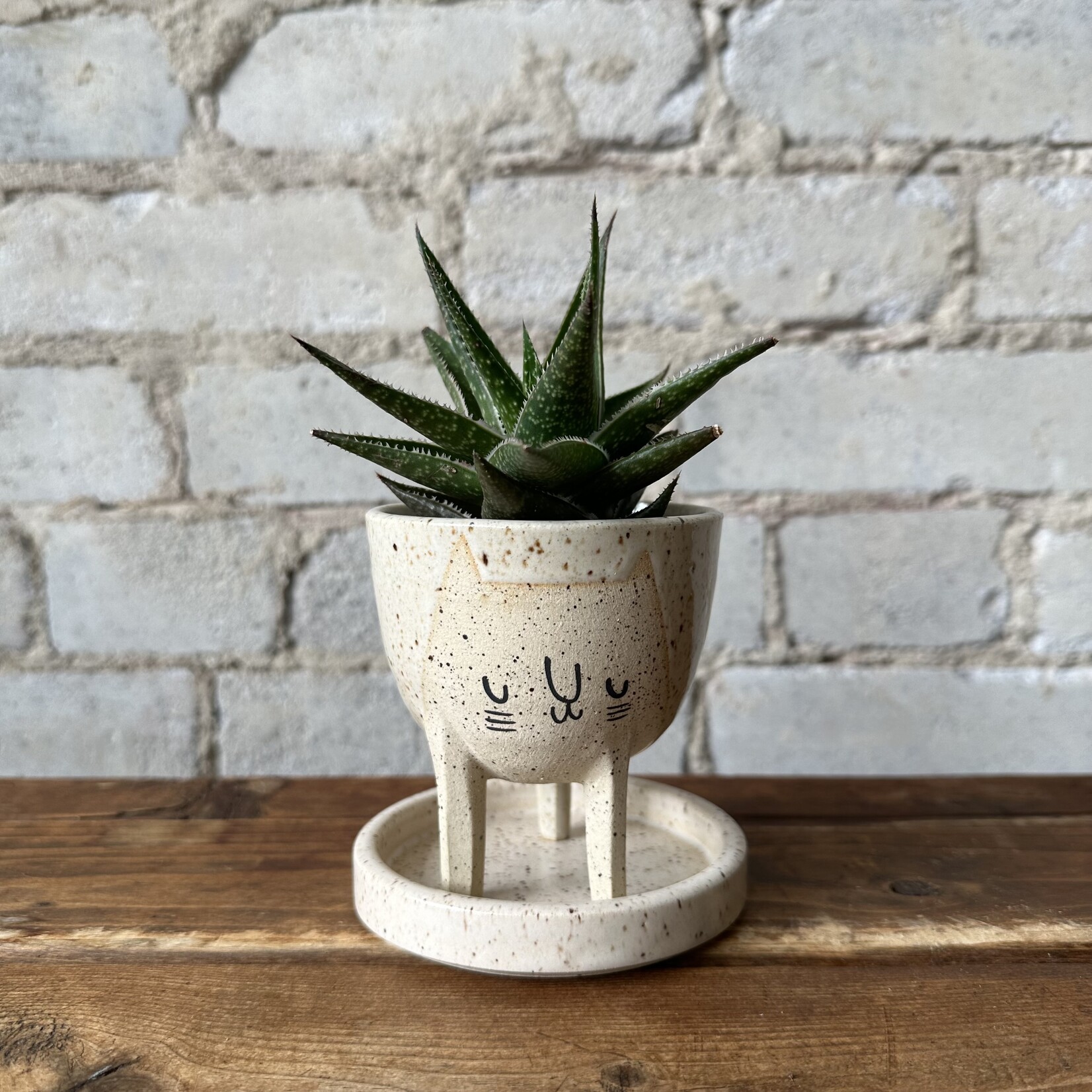 BeardBangs BeardBangs Cat Planter (Tan)