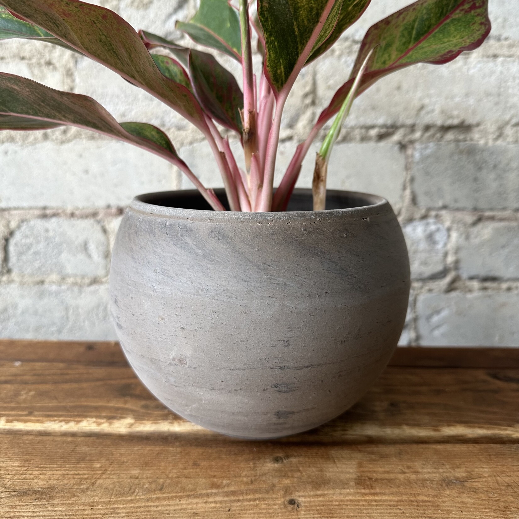 Luna pot (fits 5") Brown