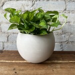 Luna pot (fits 5") Marbled